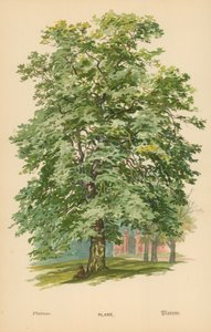 Letadlo od William Henry James Boot