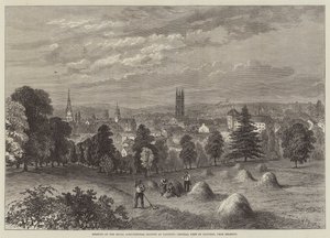 Setkání Královské zemědělské společnosti v Tauntonu, Obecný pohled na Taunton, z Belmontu od William Henry Pike