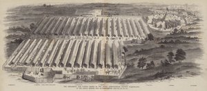 The Implement and Cattle Shows of the Royal Agricultural Society of England, na výročním zasedání konaném v Northamptonu, 20., 21., 22. července 1847