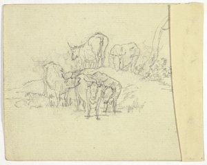 Skot (recto); šarlatán (verze) od William Henry Pyne