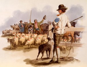 Smithfield Drover, z 