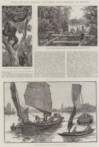 Koloniální a indická výstava, Severní Borneo, Straits Settlements a Hong-Kong