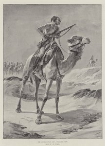 Domorodá egyptská armáda, Velbloudí sbor