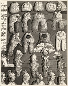 The Five Orders of Perriwigs, z 
