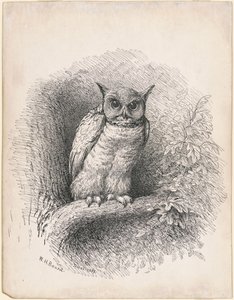 Sova od William Holbrook Beard