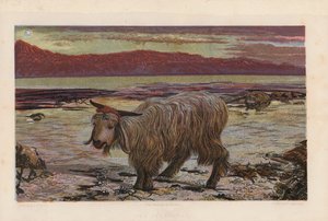 Obětní beránek (barevná litografie) od William Holman (after) Hunt