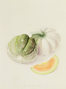 Romana Meloun, 1818