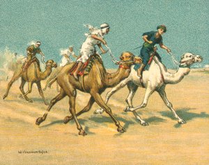 Historické a moderní závody, Velbloudí závody (chromolitho)