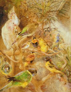 Ptačí voliéra, 1871