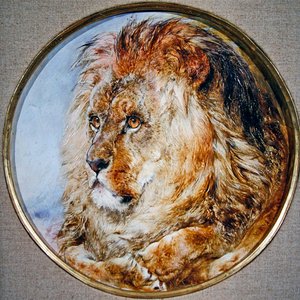 Portrét lva od William Huggins