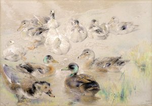 Studie kachen od William Huggins