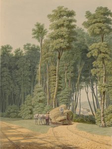 Léto - silniční nehoda. Letmý pohled na otevření Primitivního lesa... 1841.