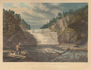 Pohled na High Falls of Trenton: West Canada Creek, N.Y. od William James Bennett