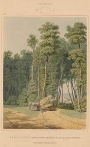 Léto - silniční nehoda. Letmý pohled na otevření Primitivního lesa. Thornville, Ohio od William James Bennett after George Harvey