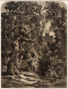 Krajina od William James Linton