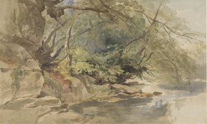 Tvář v Stapleton Wood poblíž Bristolu od William James Muller