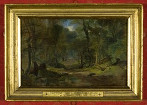 Nightingale Valley, cca 1831 (olej na plátně) od William James Muller