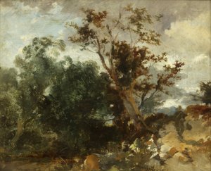 Study of Trees, cca 1840 (olej na mědi) od William James Muller