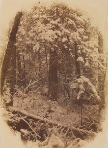 Bez názvu Woods in Snow, 1859.
