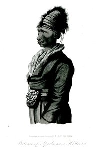 Portrét Speelmana, Hotentota, 1814 od William John Burchell