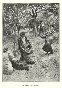 Sbírání jablek (litografie) od William John Hennessy