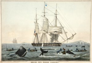 South Sea Whale Fishery, hospoda. 1825 (barevná litografie)