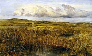 Rhoscolyn, Anglesey (olej na desce)