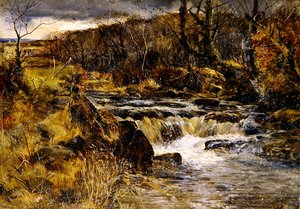 Trout Stream ve Walesu