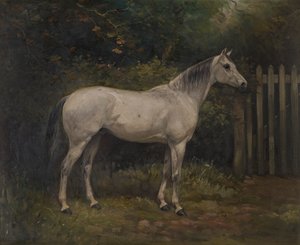 Pickles: pony Basuto, kolem roku 1904 (olej na plátně) od William Josiah Redworth