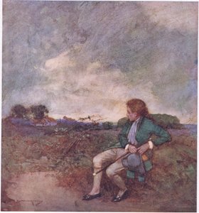 Tady, když podnikám své osamělé obchůzky, uprostřed tvých spletitých procházek a zničených pozemků (barva litho) od William Lee Hankey