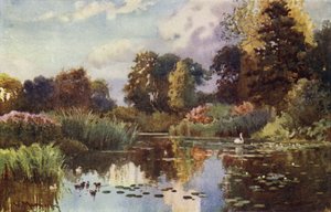 Jezero v botanické zahradě