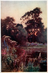 Zahrada Worcester College od William Matthison