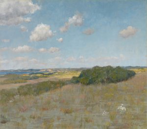 Sluneční světlo a stín, Shinnecock Hills od William Merritt Chase