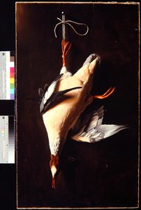 Merganser