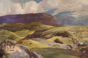 Krajina v Donegalu, c1915