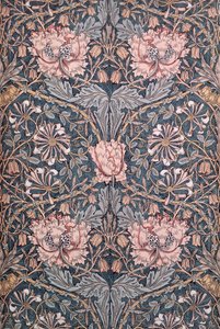 Zimolez, 1876 (potištěná bavlna) od William Morris