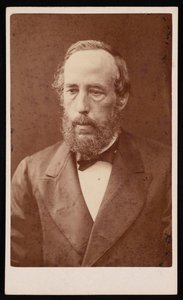 Portrét Jamese Crolla 1821-1890, před rokem 1876. od William Neilson