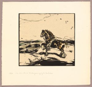Shirský kůň od William Nicholson