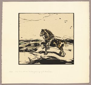 Shirský kůň od William Nicholson