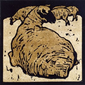 The Simple Sheep, ilustrace z 