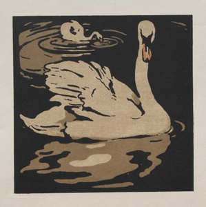 Čtvercová kniha zvířat: Krásná labuť od William Nicholson