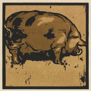 Čtvercová kniha zvířat: Učené prase od William Nicholson