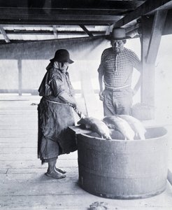 Indian Salmon Cleaner, poblíž New Westminster, Britská Kolumbie (provincie Kanada)
