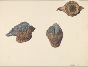 Shell Out Bank, c. 1938. od William O. Fletcher