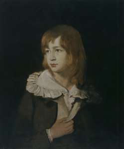 Portrét chlapce, John Parry of Garden, asi 1788-89 (olej na plátně)