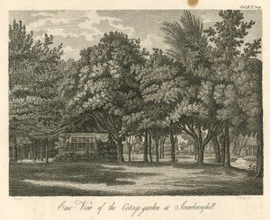 Východní pohled na zahradu chaty v Strawberry Hill, Twickenham, Londýn