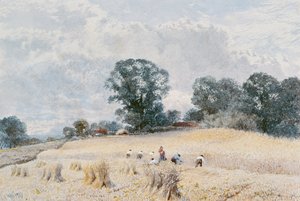 Sklizeň od William Paton Burton