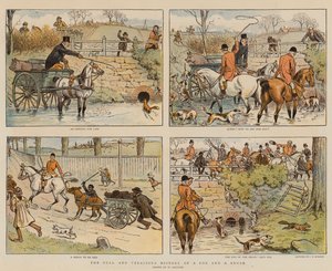 Úplná a pravdivá historie lišky a štětce (chromolitho)