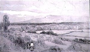Scéna sklizně
