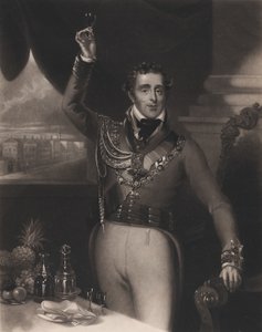 Vévoda z Wellingtonu, 1828.